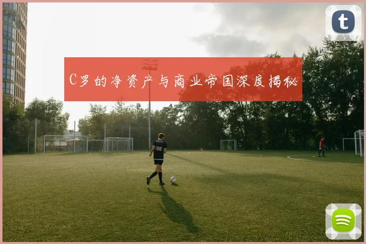 C罗的净资产与商业帝国深度揭秘